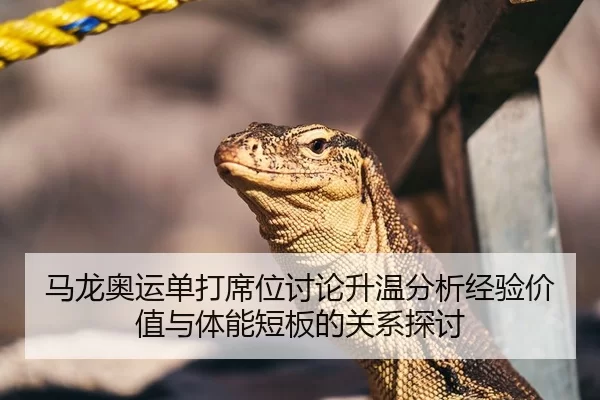 马龙奥运单打席位讨论升温分析经验价值与体能短板的关系探讨 | kaiyun