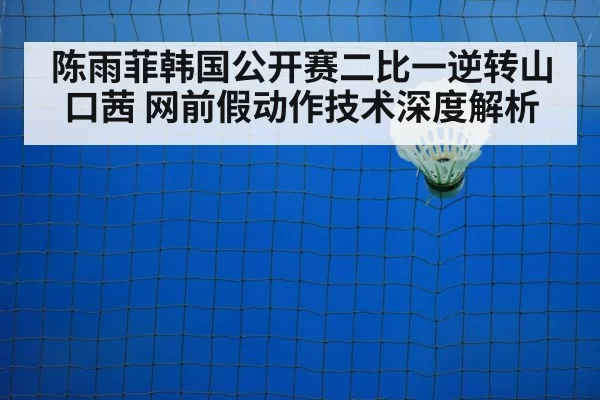陈雨菲韩国公开赛二比一逆转山口茜 网前假动作技术深度解析 | kaiyun