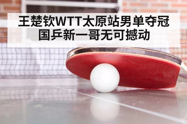 王楚钦WTT太原站男单夺冠 国乒新一哥无可撼动 | kaiyun
