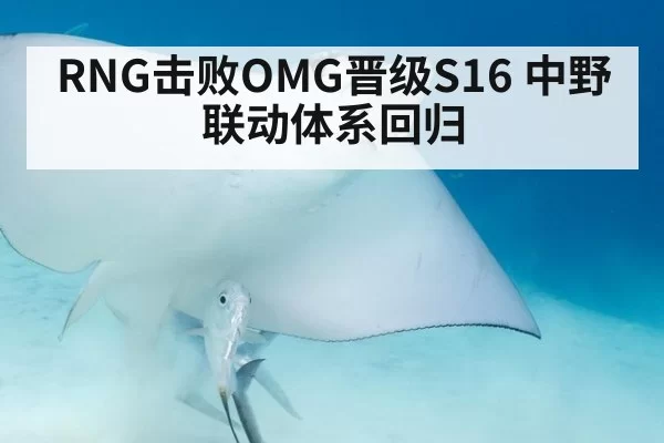 RNG击败OMG晋级S16 中野联动体系回归